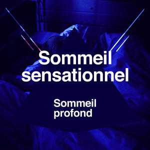 Birds in the Background