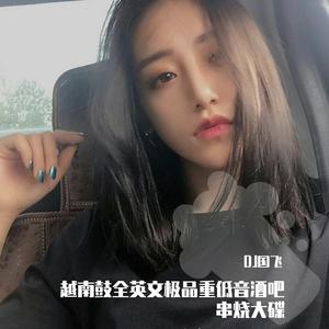 越南鼓全英文极品重低音酒吧串烧大碟