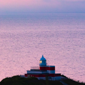 摇摇头(pop punk version)