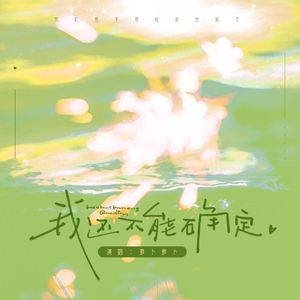 我还不能确定（TO话梅）