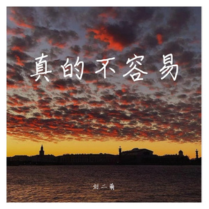 真的不容易(推荐版)