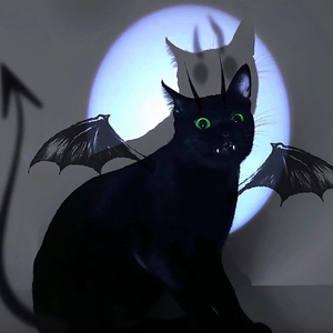 也不知道叫啥名