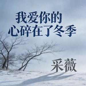 我爱你的心碎在了冬季