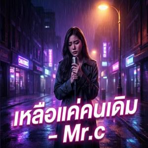 เหลือแค่คนเดิม