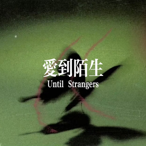 爱到陌生
