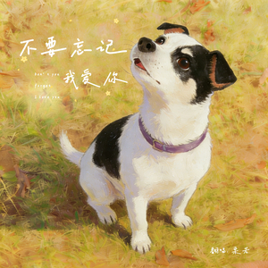 不要忘记我爱你