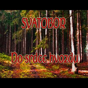 Do Srdce Hvozdu (2025 Version)