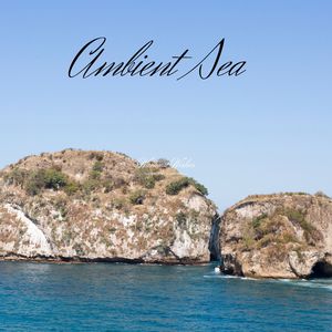 Deep Bass Continum