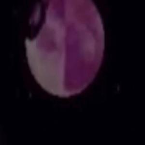 I Never Gave a **** Demo (Demo) (Demo)