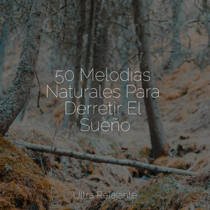 Atardecer Del Desierto