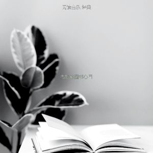 微妙的长篇小说心情