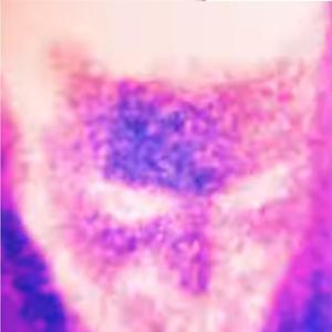 stet sto da njet / uzavreo stan (feat. Kopa & Nassim Sekkal)