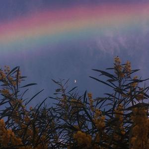 心有独钟(吉他版）