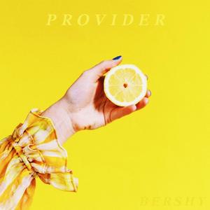 Provider