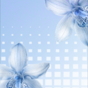DIADEMA