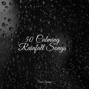 Forest, Night, Frogs