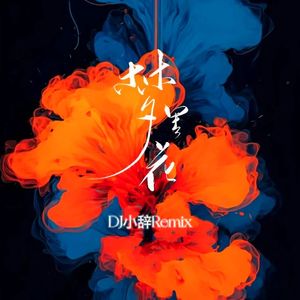 梦里花（DJ小辞Remix)