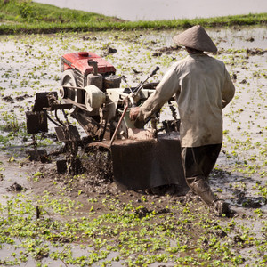 Binaural Productive in Efficiency