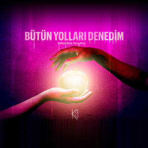 Bütün Yolları Denedim