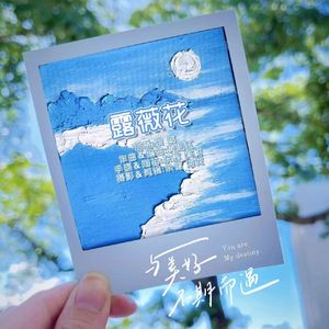 露薇花
