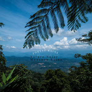 The Eye of the Storm