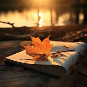 时光森林（治愈版）