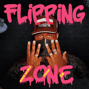 Flipping Zone