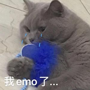 自我介绍（Prod EVOMUSIC）