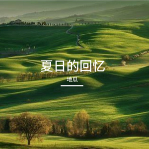 夏日的回忆