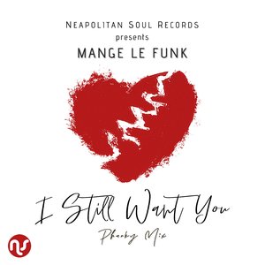 I Still Want You (Neapolitan Soul & Luciano Gioia Phunky Mix)