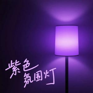 紫色氛围灯