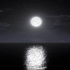 逃避了生活的煎熬 (童话镇热播版)