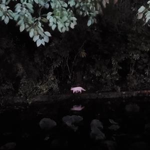 demo1(Prod.by DayOne)