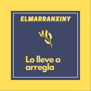 Lo Lleve a Arregla