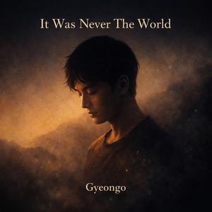 It Was Never The World