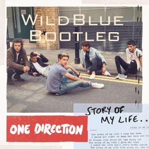 One Direction- Story of My Life (WildBlue Bootleg)
