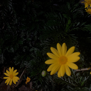 写不完的歌（prod EVOMUSIC）