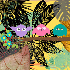 Kicau Burung Kutilang Sutra Atau Cucak Kurincang