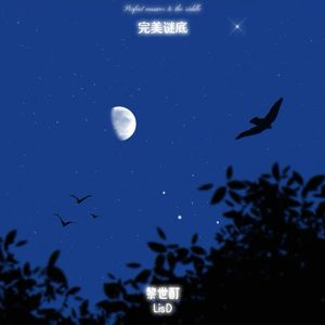 完美谜底(cover:杜宣达)