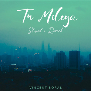 Tu Mileya (Slowed + Reverb)