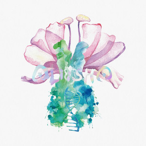 Light the Future（《Aliisha The Oblivion of Twin Goddesses》Theme Song-Original Soundtrack version） (feat. 劉明湘 & Haezee)