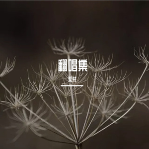 安和桥（翻自 宋冬野）