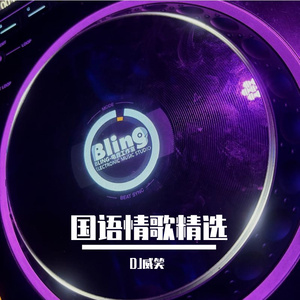 DJ威笑-国语Electro情歌精选深夜emo串烧