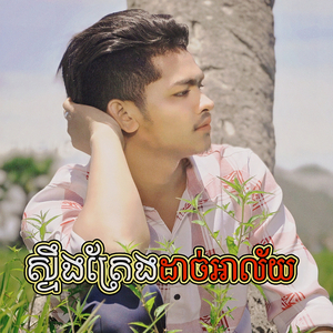 ស្ទឹងត្រែងដាច់អាល័យ (Cover)