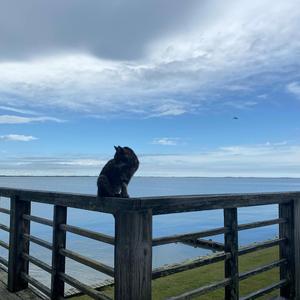 u suck (Single Re-Release)