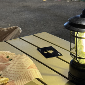 爱你和理智 不会同一时间存在