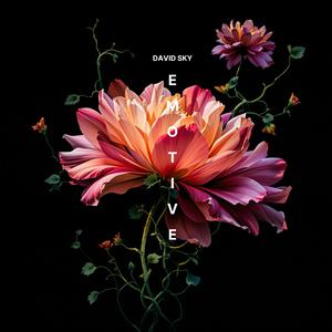 Emotive (Extended Mix)