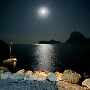 Whispers for the Loud Days