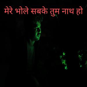 मेरे भोले सबके तुम नाथ हो