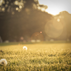 I Began To Float (Original Mix)